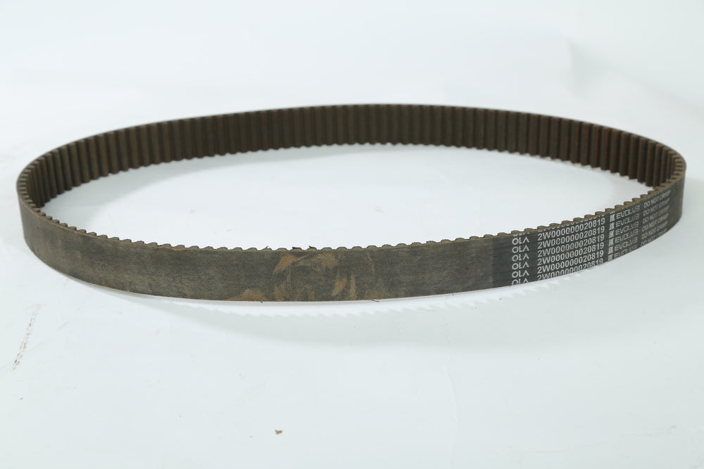 Drive Belt