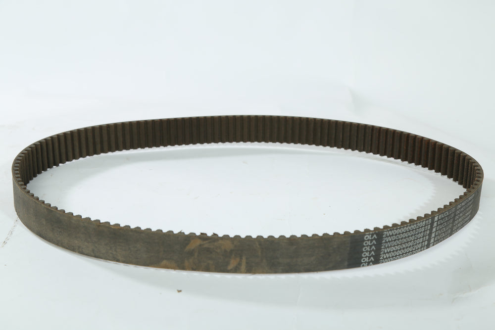 Drive Belt